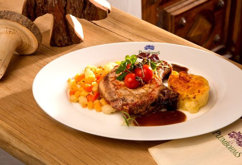 酒店 Plumbohms Aussichtsreich Gast Und Logierhaus