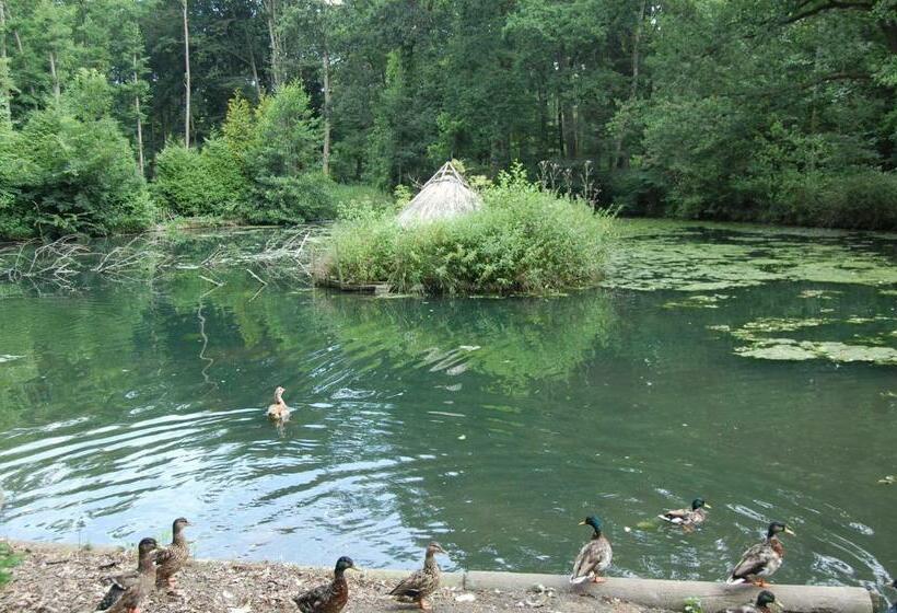 ホテル Restaurant Yamas Im Haus Waldesruh