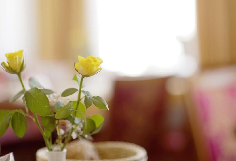 Отель Trierer Hof