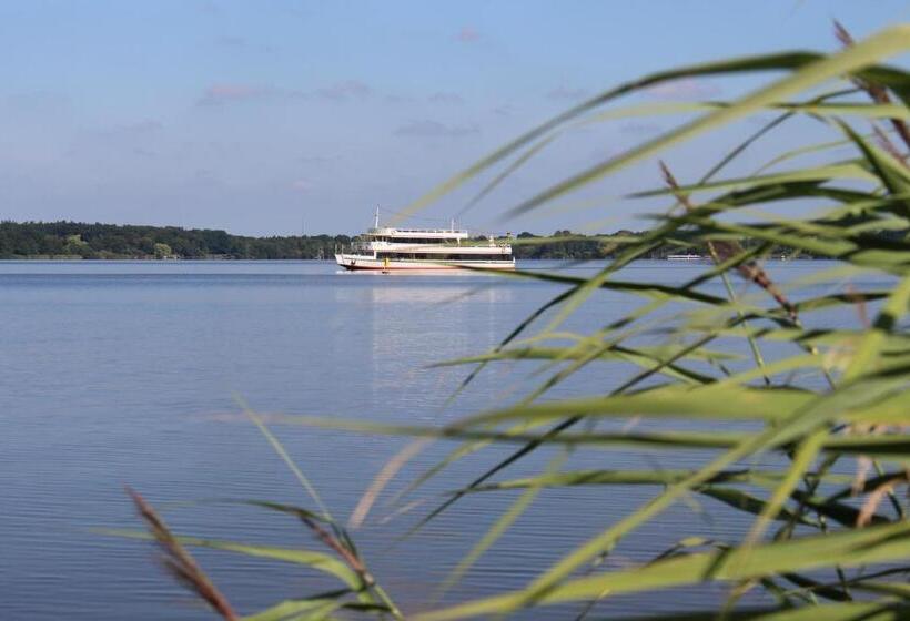 酒店 Zur Querensteder Mühle