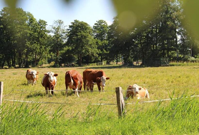 酒店 Zur Querensteder Mühle