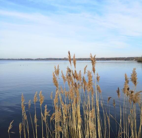 酒店 Zur Querensteder Mühle