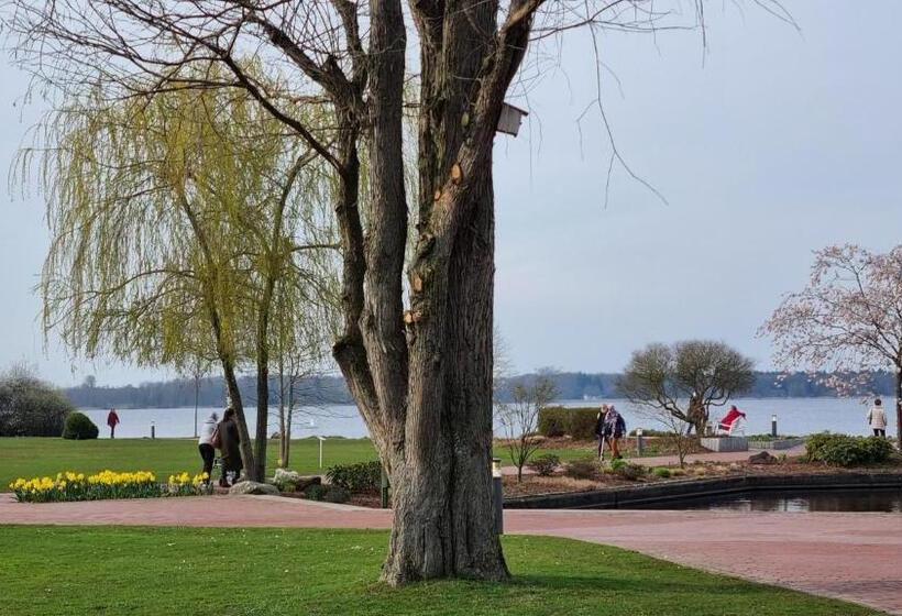 酒店 Zur Querensteder Mühle