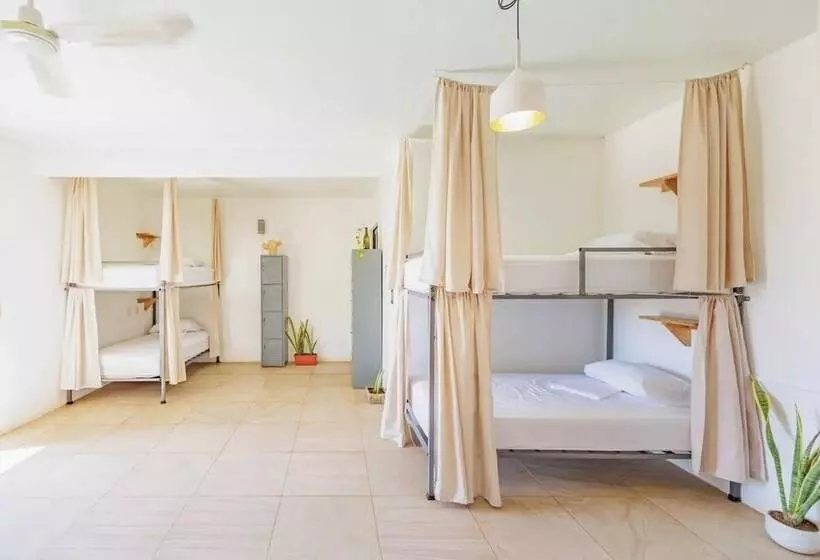 Retkeilymaja Surfnest Tamarindos