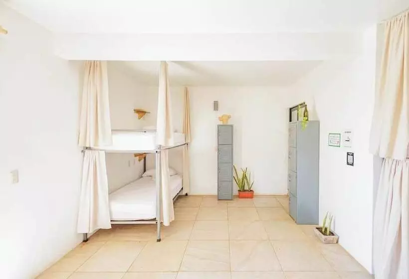 Retkeilymaja Surfnest Tamarindos