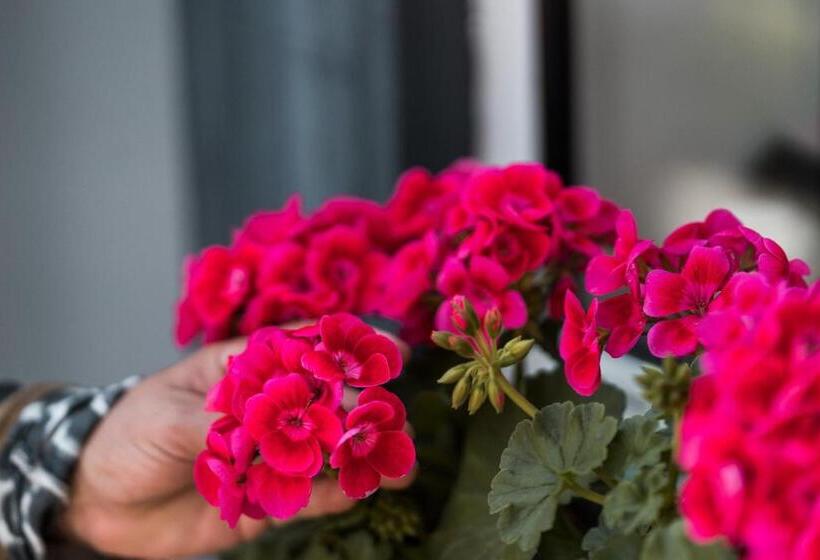 צימר Biarritz Surf Lodge Chambre D Hôtes