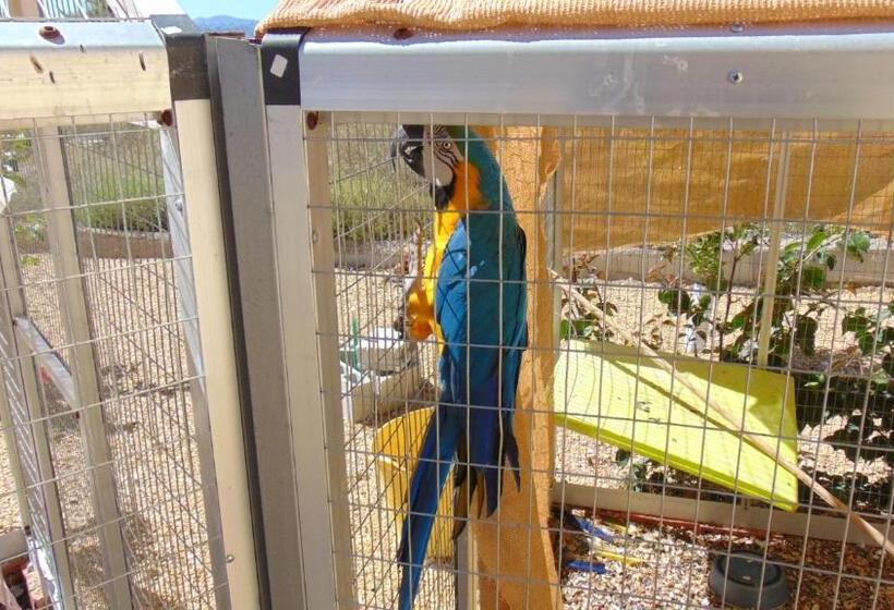 צימר Casa La Vida Feliz