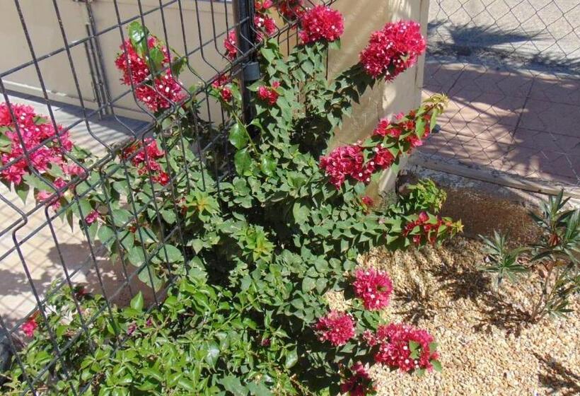 צימר Casa La Vida Feliz