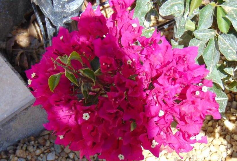 צימר Casa La Vida Feliz