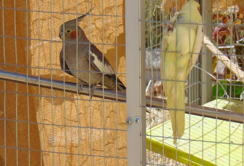 צימר Casa La Vida Feliz