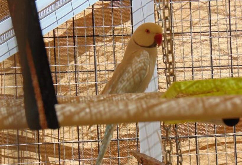 צימר Casa La Vida Feliz