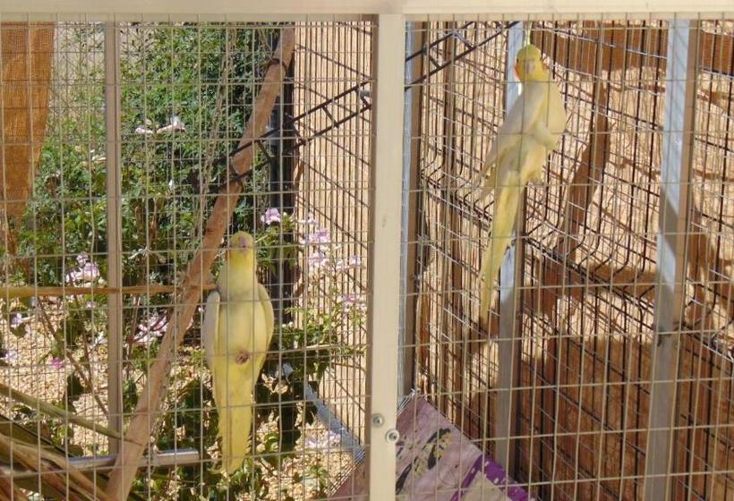 צימר Casa La Vida Feliz