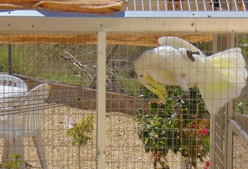 צימר Casa La Vida Feliz