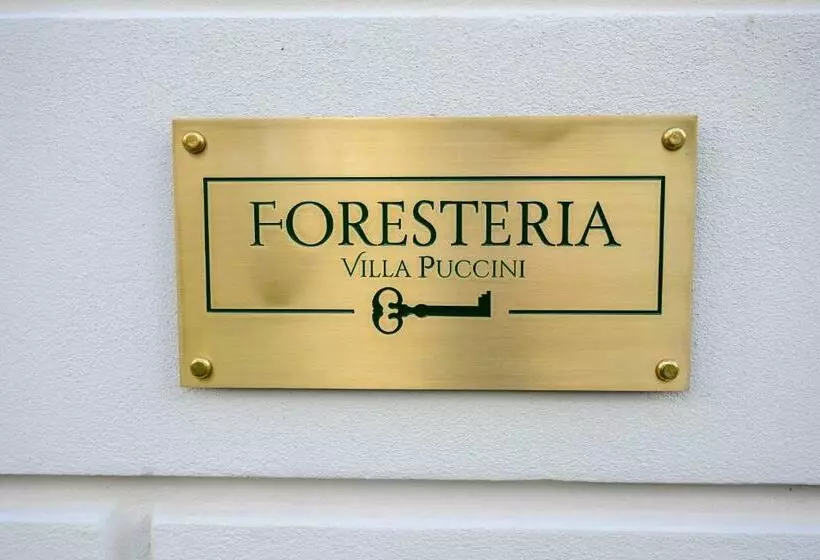 ベッドアンドブレックファースト Foresteria Villa Puccini Casa Per Ferie