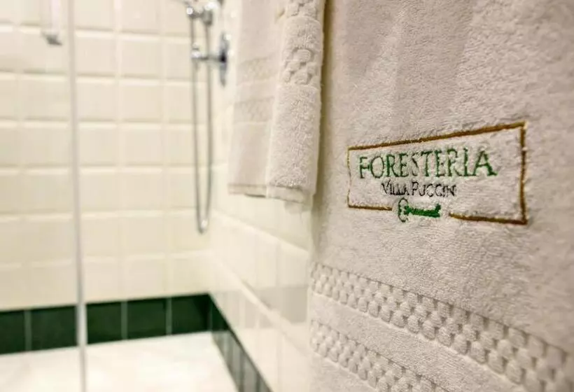 ベッドアンドブレックファースト Foresteria Villa Puccini Casa Per Ferie