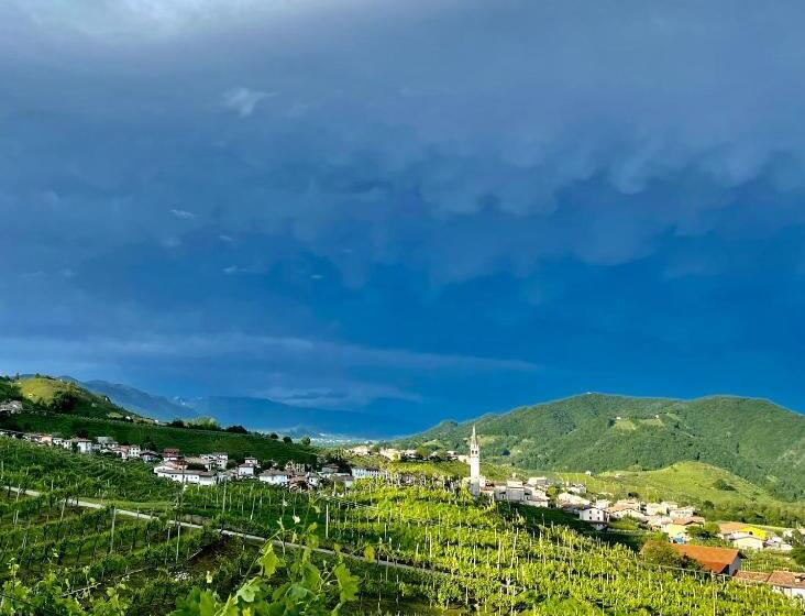 בית מלון כפרי Ca Lisel