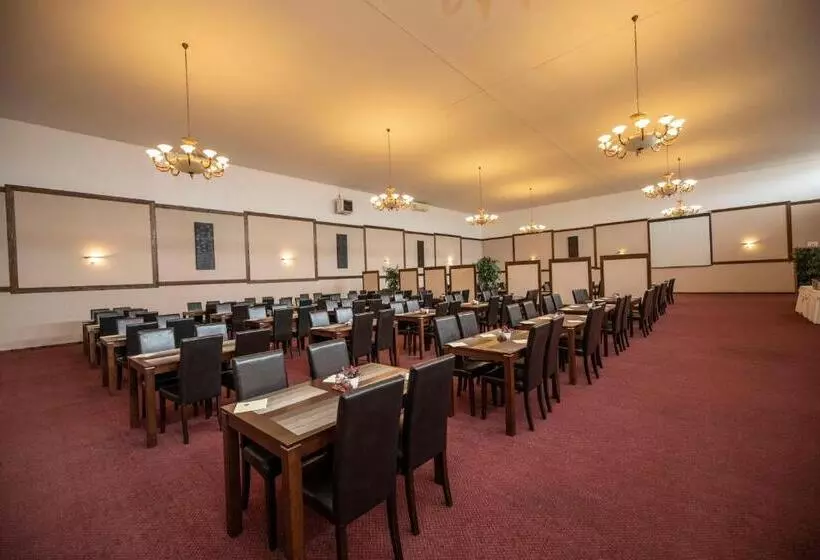 Hotelli Lions Nesuchyně