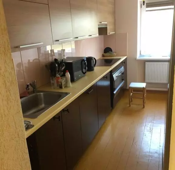 پانسیون Kambariu Nuoma Surviliskyje