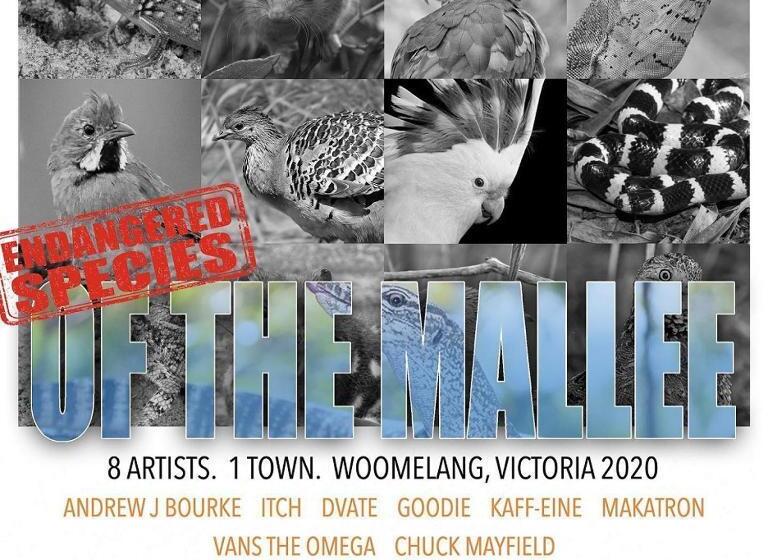 בית מלון כפרי The Woomelang