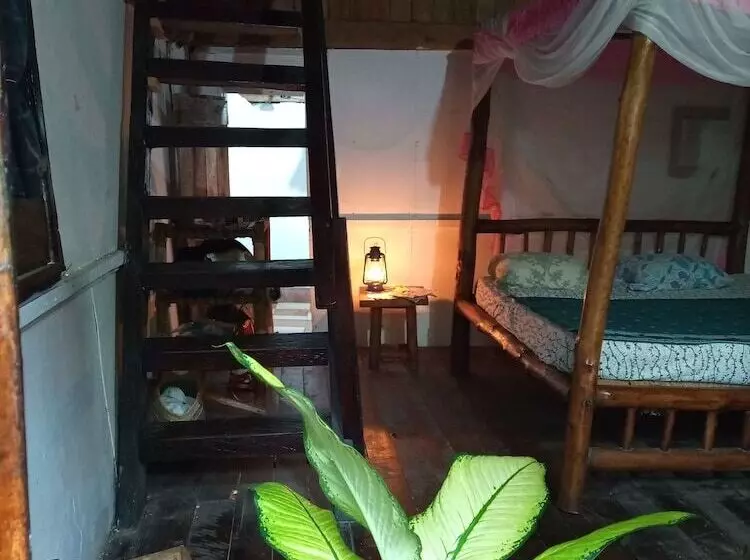 پانسیون Mida Creek Eco Camp   Cottage House