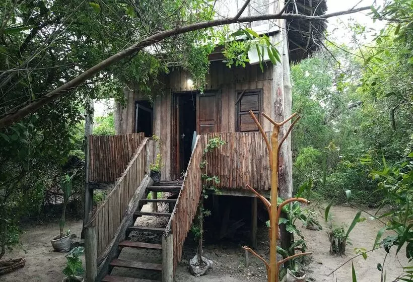 پانسیون Mida Creek Eco Camp   Cottage House