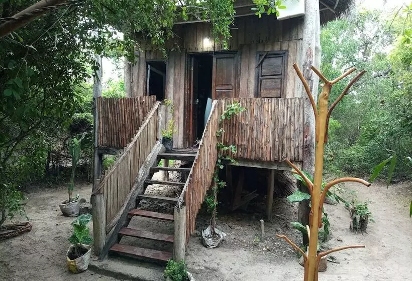 پانسیون Mida Creek Eco Camp   Cottage House