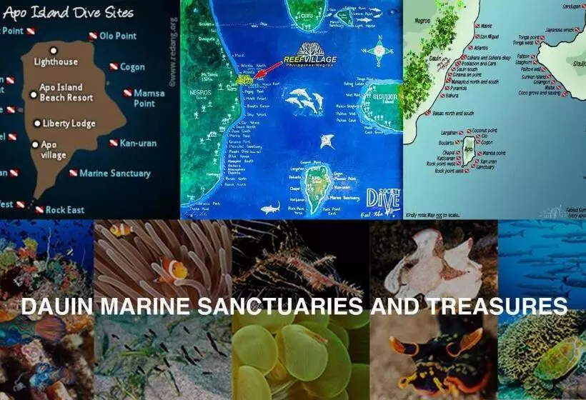 Retkeilymaja Darpins Guesthouse