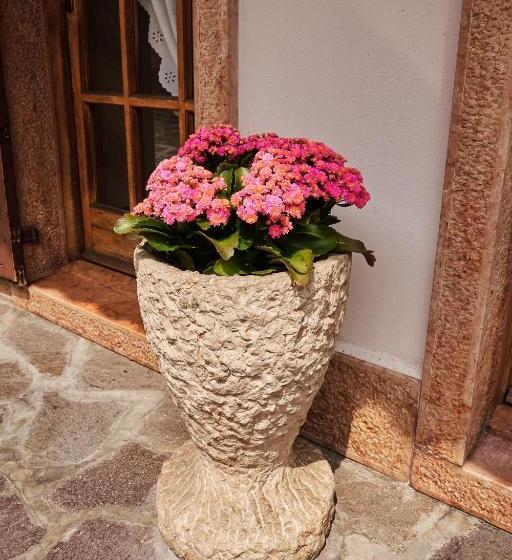 住宿加早餐 Ad Sidera