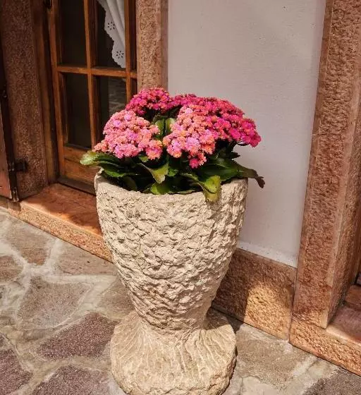 Aamiaismajoitus (B&B) Ad Sidera