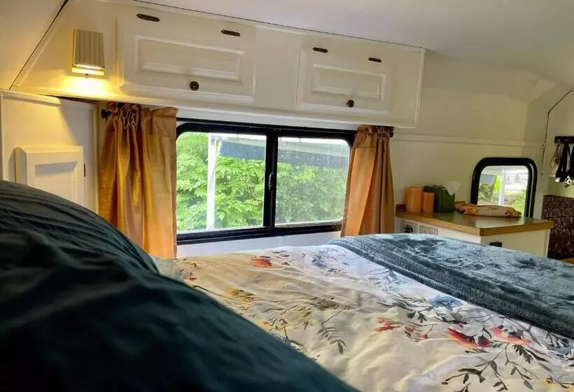 ホテル So Damn Lucky Glamping