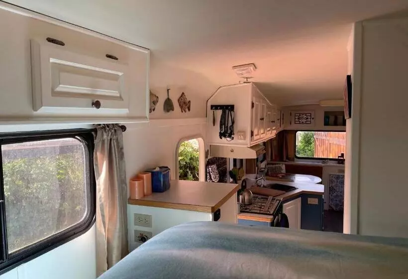 ホテル So Damn Lucky Glamping