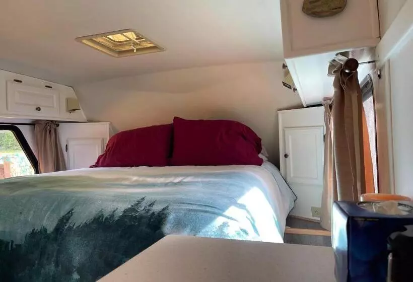 ホテル So Damn Lucky Glamping