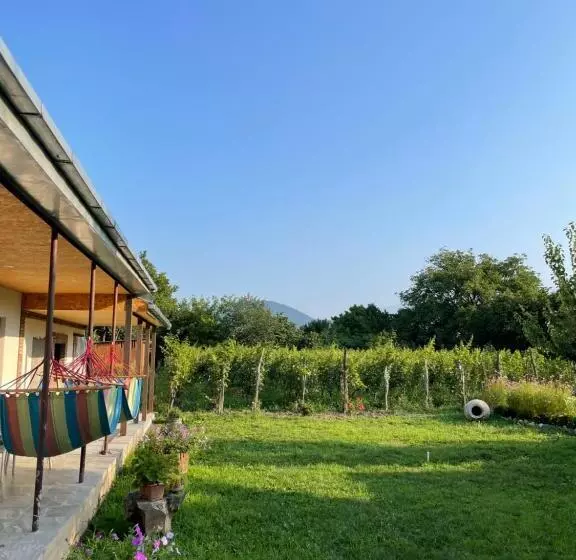 پانسیون Alvani Inn