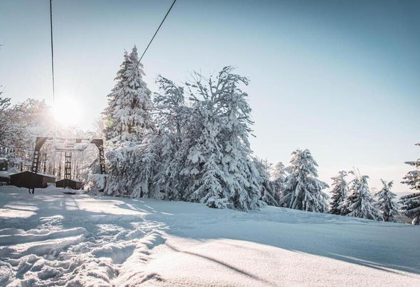 ペンション Penzion Jedlová