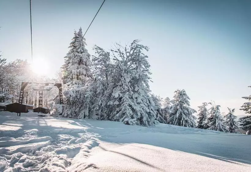 Majatalo Penzion Jedlová