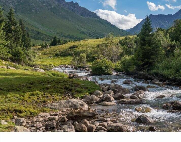 پانسیون Salamat Guest House