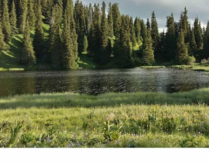 پانسیون Salamat Guest House