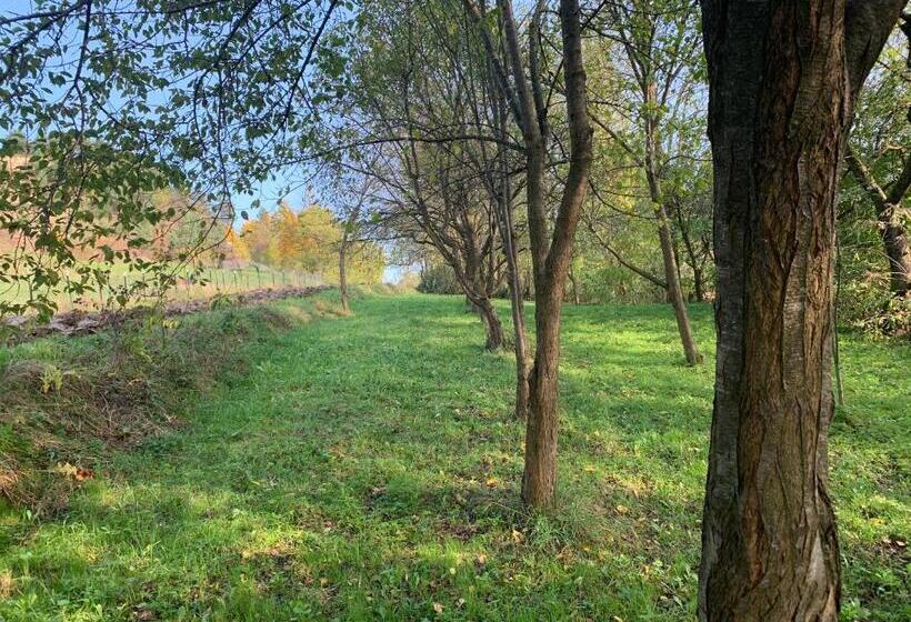 Pensão Conacul Maramureșean Bilgăr