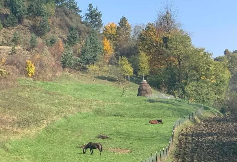 ペンション Conacul Maramureșean Bilgăr