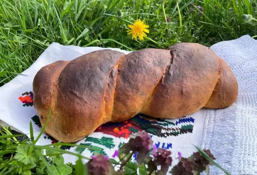 ペンション Conacul Maramureșean Bilgăr