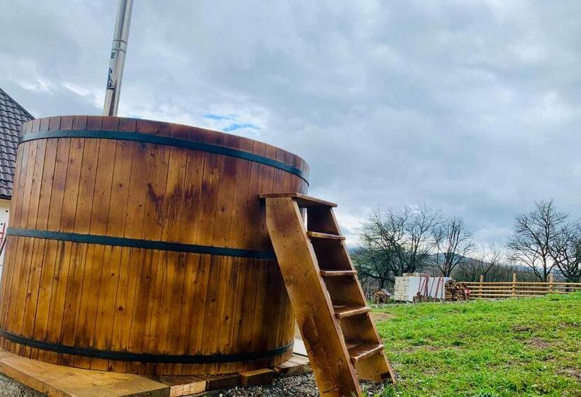 Pensão Conacul Maramureșean Bilgăr