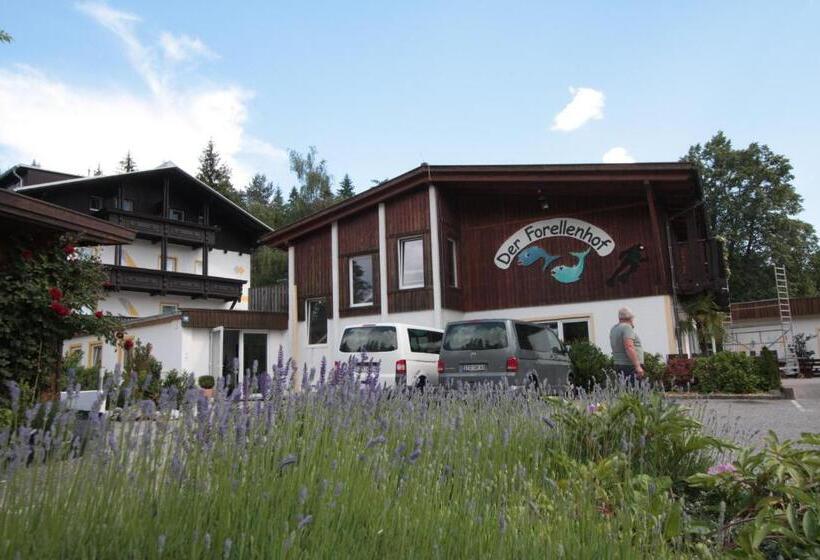 펜션 Ferienanlage Forellenhof