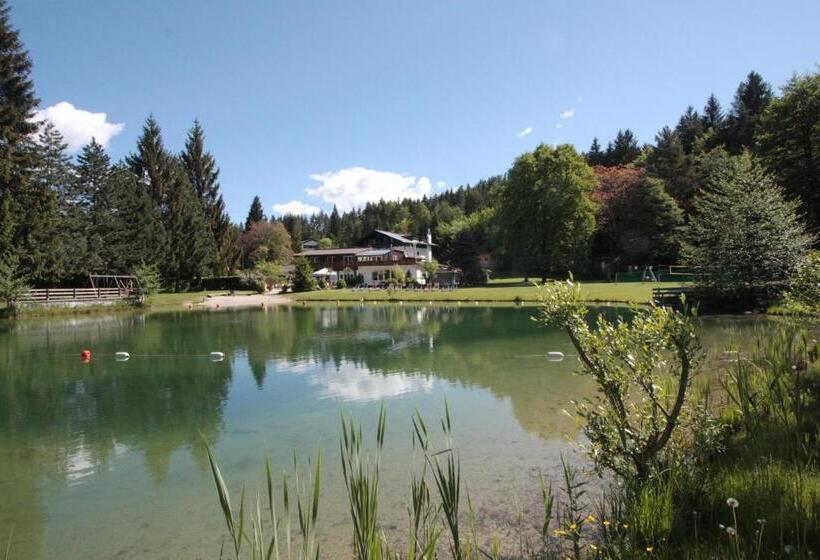 펜션 Ferienanlage Forellenhof