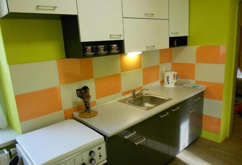 膳宿费 Penzion Gott