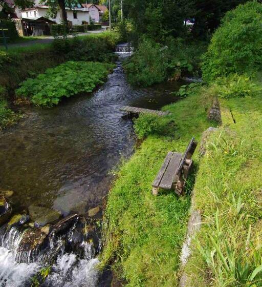 膳宿费 Penzion Gott