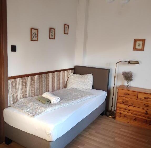 Pensão Füvesi Vendégház