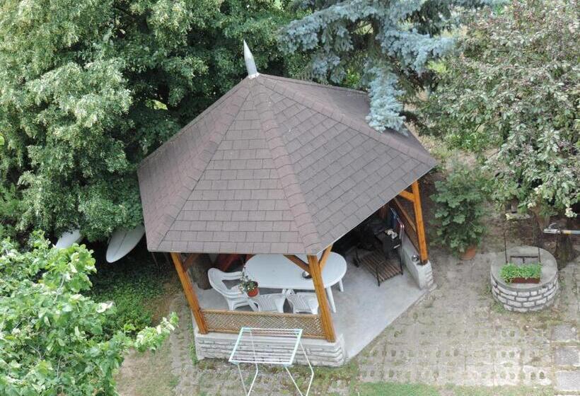 Pensão Füvesi Vendégház