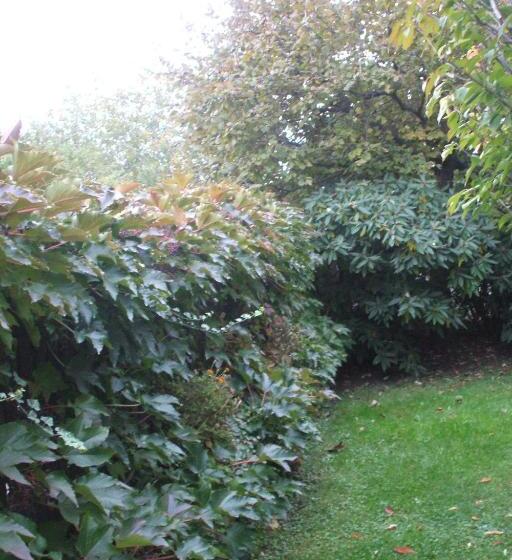 Pensão Füvesi Vendégház