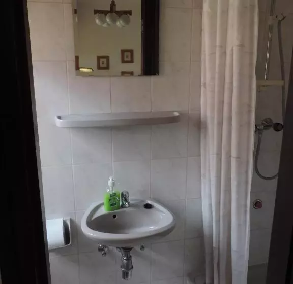 ペンション Füvesi Vendégház