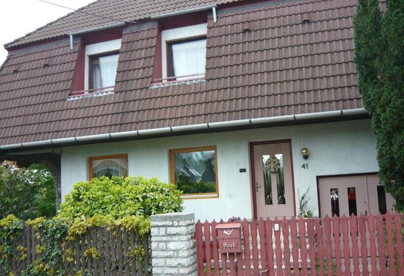 Pensão Füvesi Vendégház